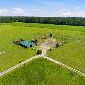 Photo #7 of 6400 Black Creek Rd., Nichols, SC 93.5 acres