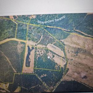 Photo #3 of TBD Bratcher Rd., Conway, SC 46.0 acres