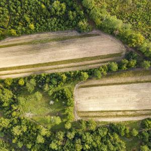 Photo #11 of TBD Bratcher Rd., Conway, SC 46.0 acres