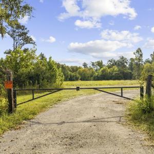 Photo #4 of TBD Bratcher Rd., Conway, SC 46.0 acres