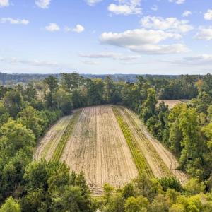 Photo #12 of TBD Bratcher Rd., Conway, SC 46.0 acres