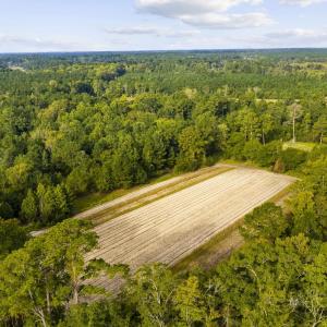 Photo #13 of TBD Bratcher Rd., Conway, SC 46.0 acres