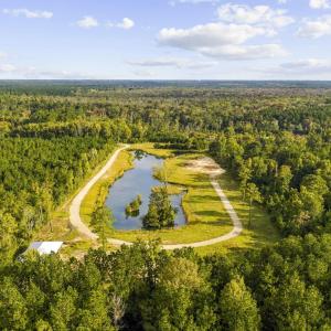 Photo #7 of TBD Bratcher Rd., Conway, SC 46.0 acres