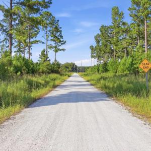 Photo #27 of 2545 Wigley Rd., Loris, SC 12.4 acres