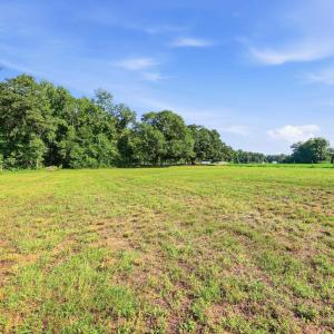Photo #7 of 2545 Wigley Rd., Loris, SC 12.4 acres