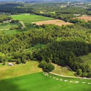 Photo #15 of 2545 Wigley Rd., Loris, SC 12.4 acres