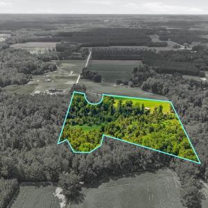 Photo #11 of 2545 Wigley Rd., Loris, SC 12.4 acres