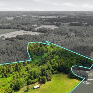 Photo #16 of 2545 Wigley Rd., Loris, SC 12.4 acres