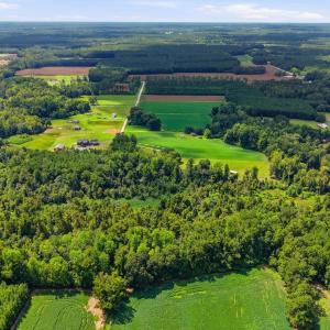 Photo #13 of 2545 Wigley Rd., Loris, SC 12.4 acres