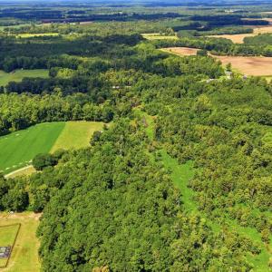 Photo #18 of 2545 Wigley Rd., Loris, SC 12.4 acres