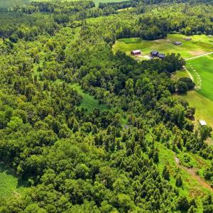 Photo #12 of 2545 Wigley Rd., Loris, SC 12.4 acres