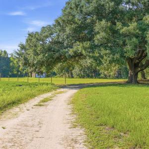 Photo #25 of 2545 Wigley Rd., Loris, SC 12.4 acres