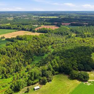 Photo #17 of 2545 Wigley Rd., Loris, SC 12.4 acres