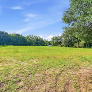 Photo #2 of 2545 Wigley Rd., Loris, SC 12.4 acres