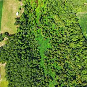 Photo #19 of 2545 Wigley Rd., Loris, SC 12.4 acres