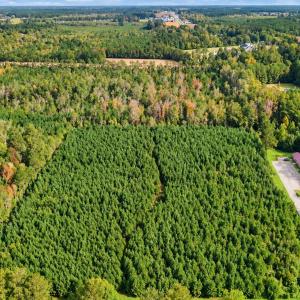 Photo #6 of tbd Graham St., Loris, SC 69.6 acres