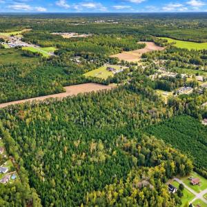 Photo #9 of tbd Graham St., Loris, SC 69.6 acres