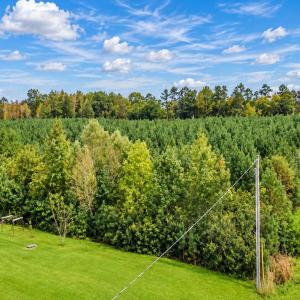 Photo #11 of tbd Graham St., Loris, SC 69.6 acres