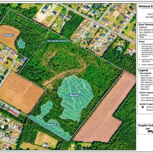 Photo #2 of tbd Graham St., Loris, SC 69.6 acres