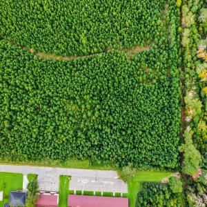 Photo #10 of tbd Graham St., Loris, SC 69.6 acres