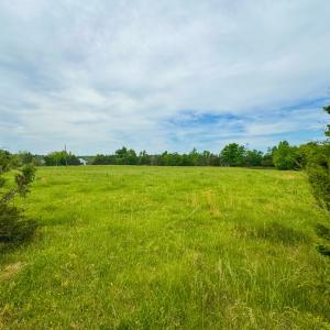 Photo #3 of 3623 Cottage Road, Blackstone, VA 15.0 acres
