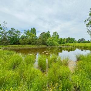 Photo #4 of 3623 Cottage Road, Blackstone, VA 15.0 acres