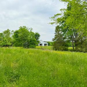Photo #49 of 3623 Cottage Road, Blackstone, VA 15.0 acres