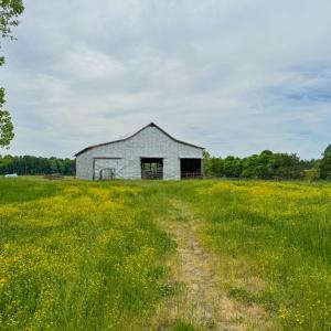 Photo #5 of 3623 Cottage Road, Blackstone, VA 15.0 acres