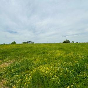 Photo #50 of 3623 Cottage Road, Blackstone, VA 15.0 acres
