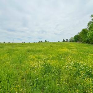 Photo #51 of 3623 Cottage Road, Blackstone, VA 15.0 acres