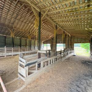 Photo #7 of 3623 Cottage Road, Blackstone, VA 15.0 acres