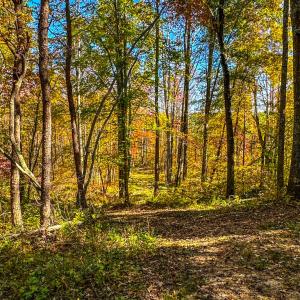 Photo #57 of 2052 Twenty-Two Road, Pamplin, VA 486.0 acres