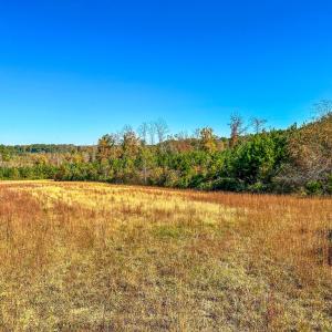 Photo #58 of 2052 Twenty-Two Road, Pamplin, VA 486.0 acres