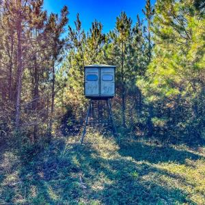 Photo #61 of 2052 Twenty-Two Road, Pamplin, VA 486.0 acres