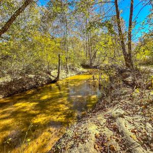 Photo #62 of 2052 Twenty-Two Road, Pamplin, VA 486.0 acres