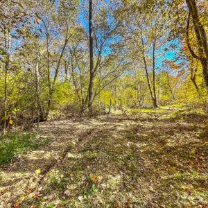 Photo #63 of 2052 Twenty-Two Road, Pamplin, VA 486.0 acres