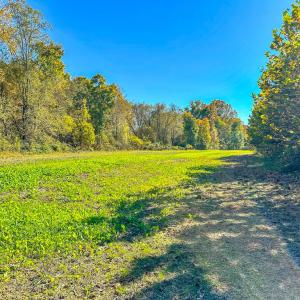 Photo #65 of 2052 Twenty-Two Road, Pamplin, VA 486.0 acres