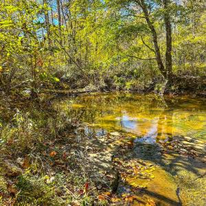 Photo #66 of 2052 Twenty-Two Road, Pamplin, VA 486.0 acres