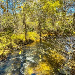Photo #67 of 2052 Twenty-Two Road, Pamplin, VA 486.0 acres