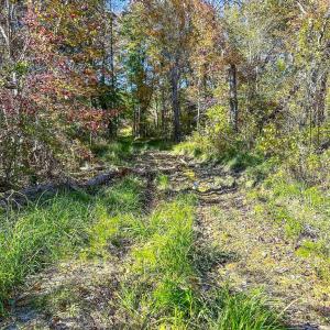 Photo #68 of 2052 Twenty-Two Road, Pamplin, VA 486.0 acres