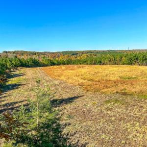 Photo #69 of 2052 Twenty-Two Road, Pamplin, VA 486.0 acres
