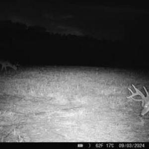 Photo #70 of 2052 Twenty-Two Road, Pamplin, VA 486.0 acres