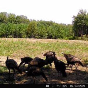 Photo #71 of 2052 Twenty-Two Road, Pamplin, VA 486.0 acres