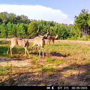 Photo #72 of 2052 Twenty-Two Road, Pamplin, VA 486.0 acres