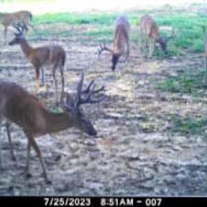Photo #74 of 2052 Twenty-Two Road, Pamplin, VA 486.0 acres