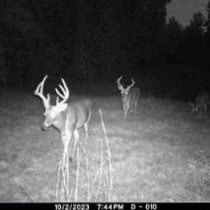 Photo #75 of 2052 Twenty-Two Road, Pamplin, VA 486.0 acres