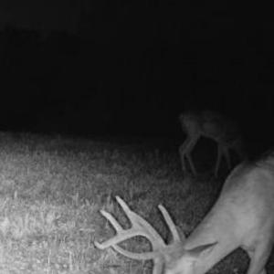 Photo #77 of 2052 Twenty-Two Road, Pamplin, VA 486.0 acres