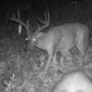 Photo #79 of 2052 Twenty-Two Road, Pamplin, VA 486.0 acres