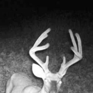 Photo #80 of 2052 Twenty-Two Road, Pamplin, VA 486.0 acres