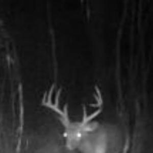 Photo #81 of 2052 Twenty-Two Road, Pamplin, VA 486.0 acres